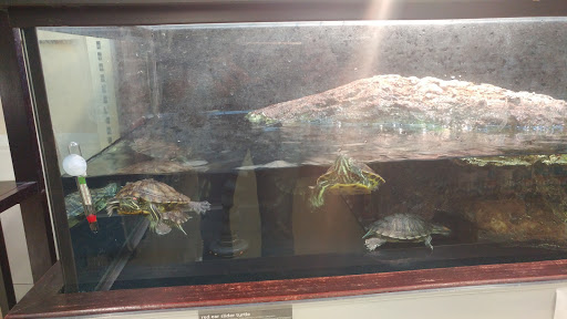 Pet Supply Store «Petco Animal Supplies», reviews and photos, 4030 N MacArthur Blvd #200, Irving, TX 75038, USA