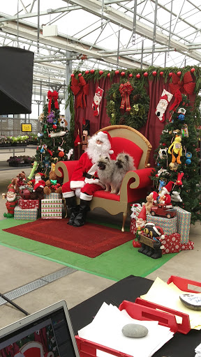 Grocery Store «Fred Meyer», reviews and photos, 7700 SW Beaverton Hillsdale Hwy, Portland, OR 97225, USA