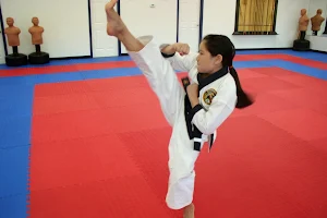 AmKor Karate Institutes image