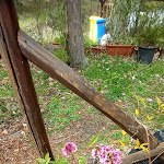 Photo n°16 de l'avis de Carmelagrazia.a fait le 07/01/2023 à 16:32 sur le  La Baita Ucria à Ucria