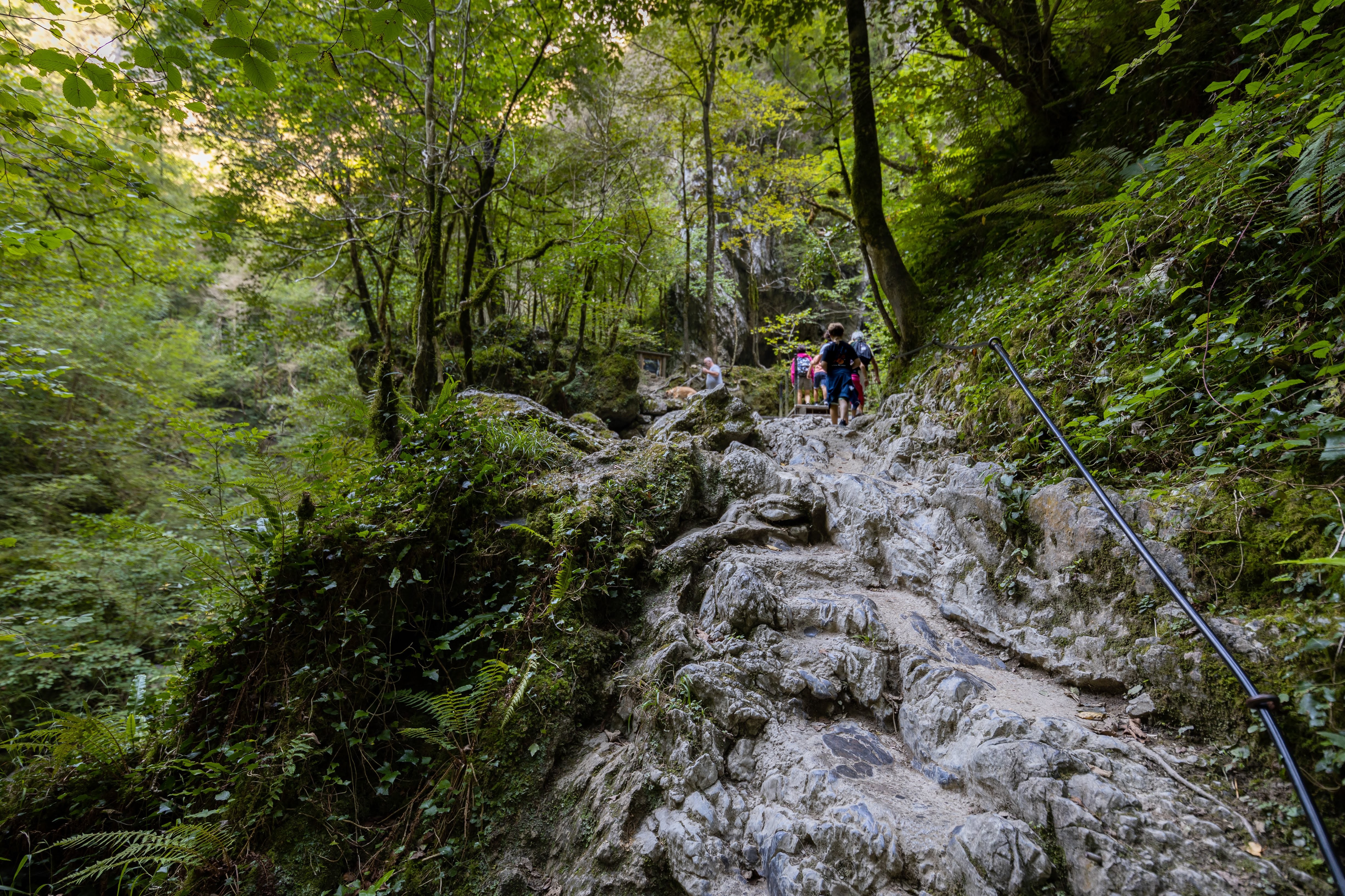 Photo n° 11 de l'avis de Glyn.o fait le 30/08/2019 à 14:26