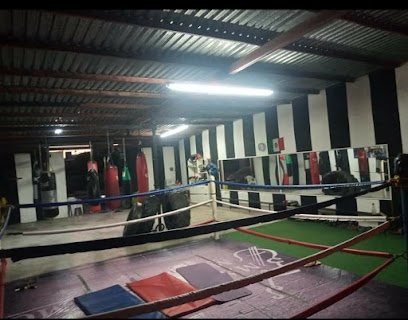 Gym Pedro Moras Boxing - Tenochtitlan 2-202, La Bienestar, 81280 Los Mochis, Sin., Mexico