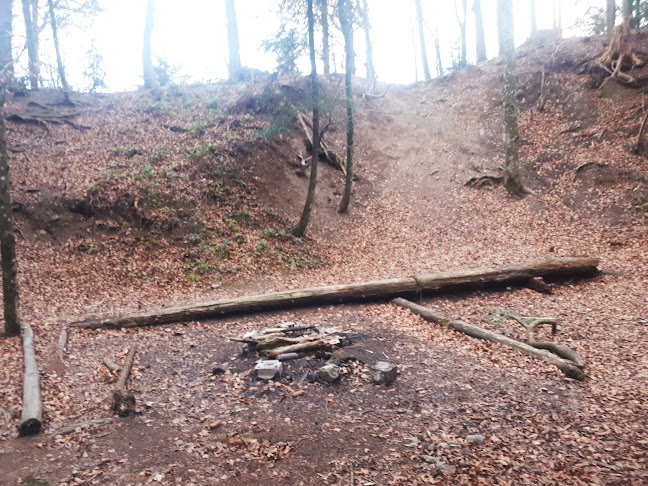 Spiel- und Erholunngsplatz Riffig-Weiher - Sportstätte