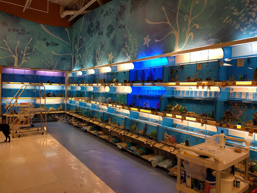 Pet Supply Store «PetSmart», reviews and photos, 3780 Riverchase Village #300, Hoover, AL 35244, USA