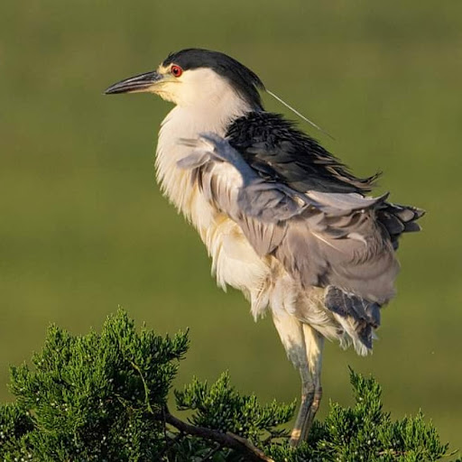  «Ocean City Welcome Center», reviews and photos, 300 W 9th St, Ocean City, NJ 08226, USA