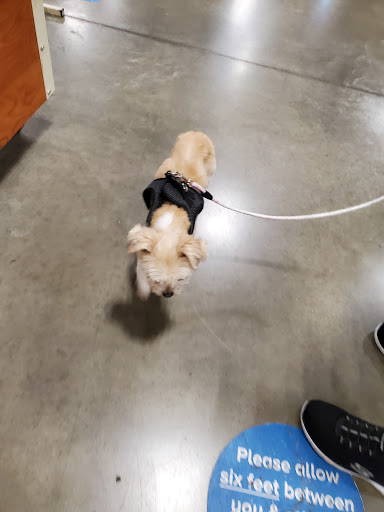 Pet Supply Store «PetSmart», reviews and photos, 1734 Old Fort Pkwy, Murfreesboro, TN 37129, USA