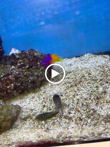 Pet Supply Store «Petco Animal Supplies», reviews and photos, 7110 Dodge St, Omaha, NE 68132, USA