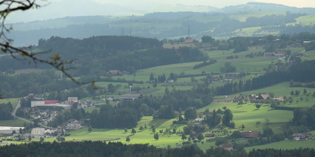 Comentarii opinii despre Ramseier Suisse AG