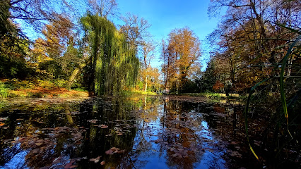 Schlosspark Lake