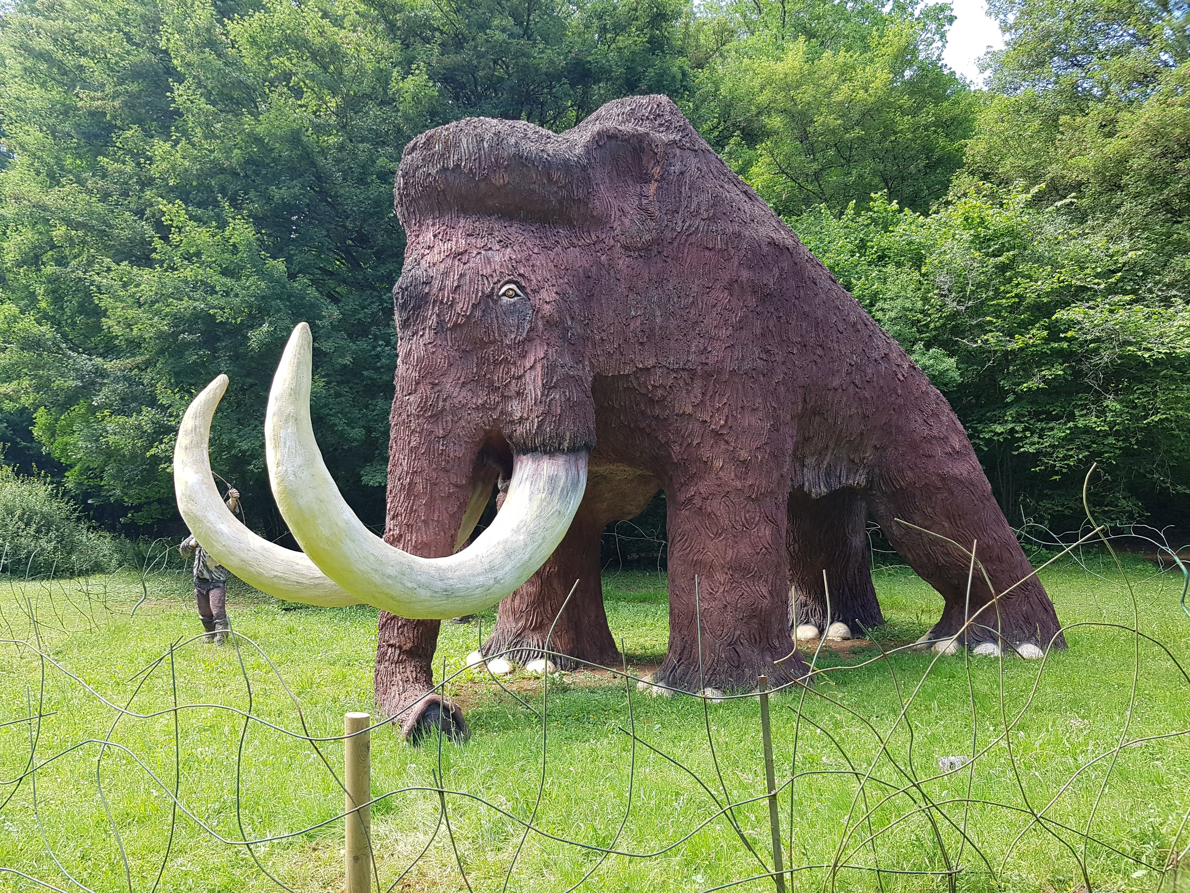 Photo n° 5 de l'avis de Jérôme.E fait le 03/06/2018 à 21:06