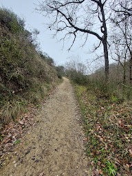 Photo n°61 de Restaurant Le Bellevue à Lacroix-Falgarde ()