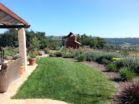 Birchfield Gardening - Photo 4 - Car repair in , Santa Maria