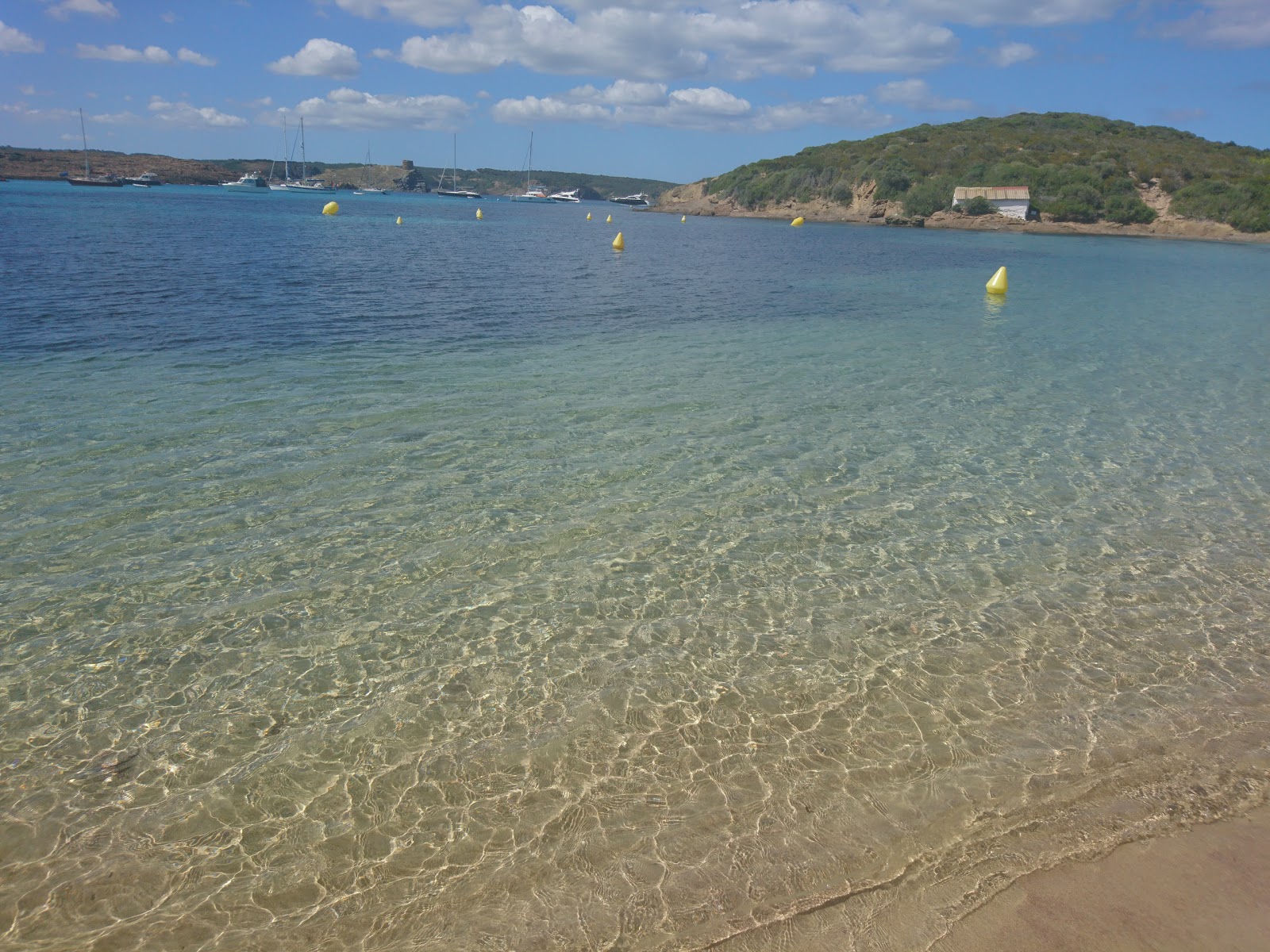 Foto av Platja Es Grau bekvämlighetsområde