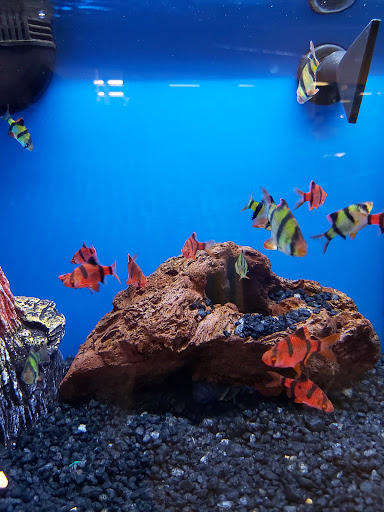 Pet Supply Store «Petco Animal Supplies», reviews and photos, 1060 U.S. 9, Parlin, NJ 08859, USA