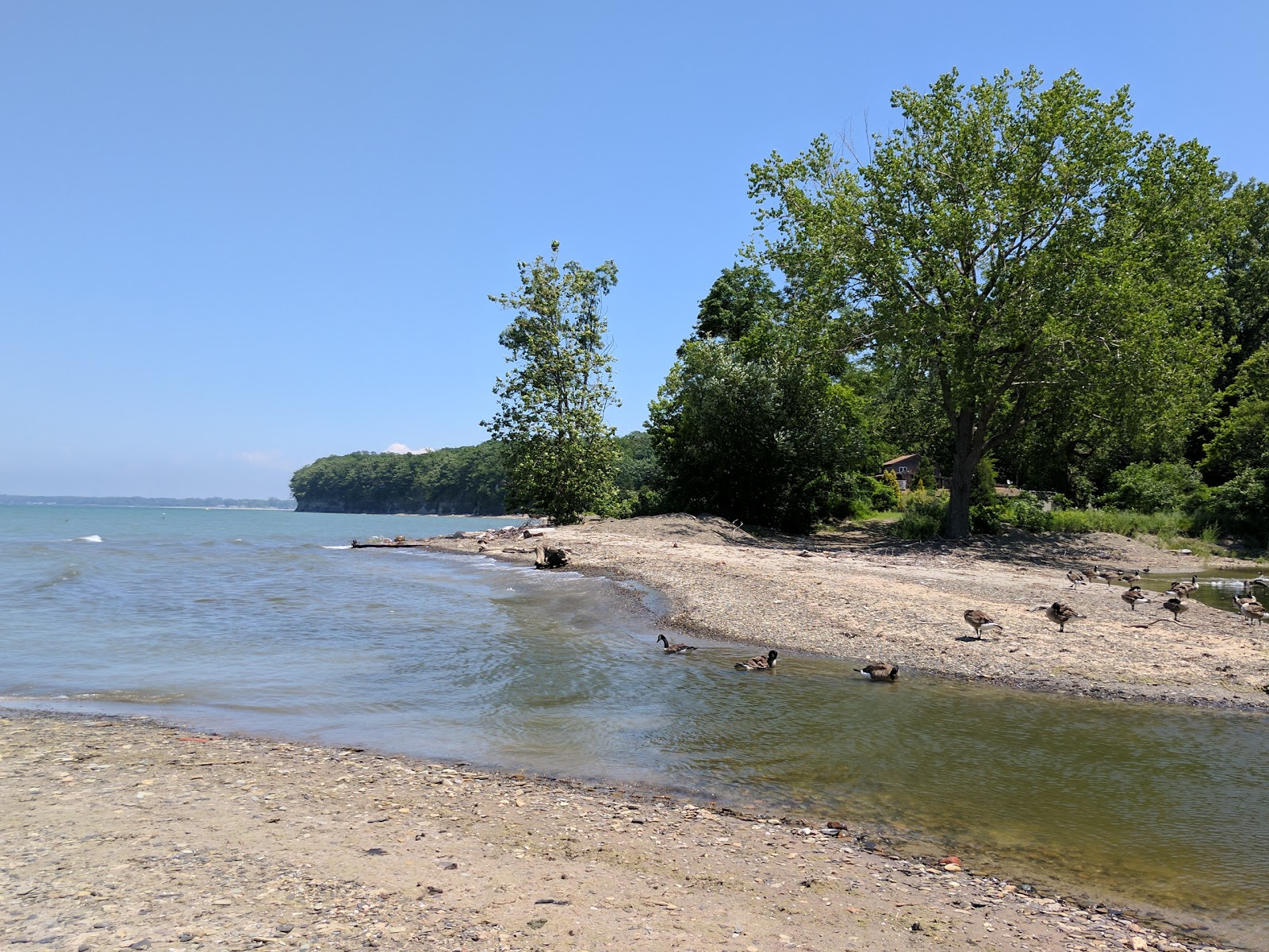 Silver Creek Firemen's Beach'in fotoğrafı geniş bir kıyı şeridi ile birlikte
