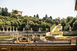 Fountain of the Artichoke image