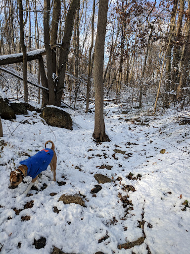 Banquet Hall «Chateau at Coindre Hall», reviews and photos, 101 Browns Rd, Huntington, NY 11743, USA