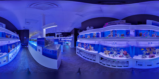 Tropical Fish Store «Pure Reef», reviews and photos, 12900 GA-9, Alpharetta, GA 30004, USA