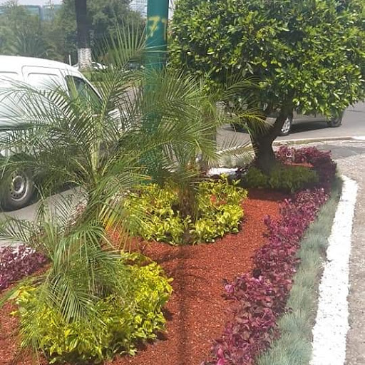 Asociacion de Jardineros de Xochimilco, jardineria, viveros, tierra negra, poda de árboles, venta de plantas, árboles frutales.