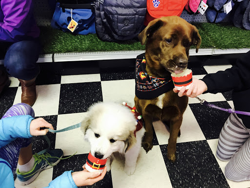 Pet Store «The Pet Place», reviews and photos, 240 Shadowline Dr, Boone, NC 28607, USA