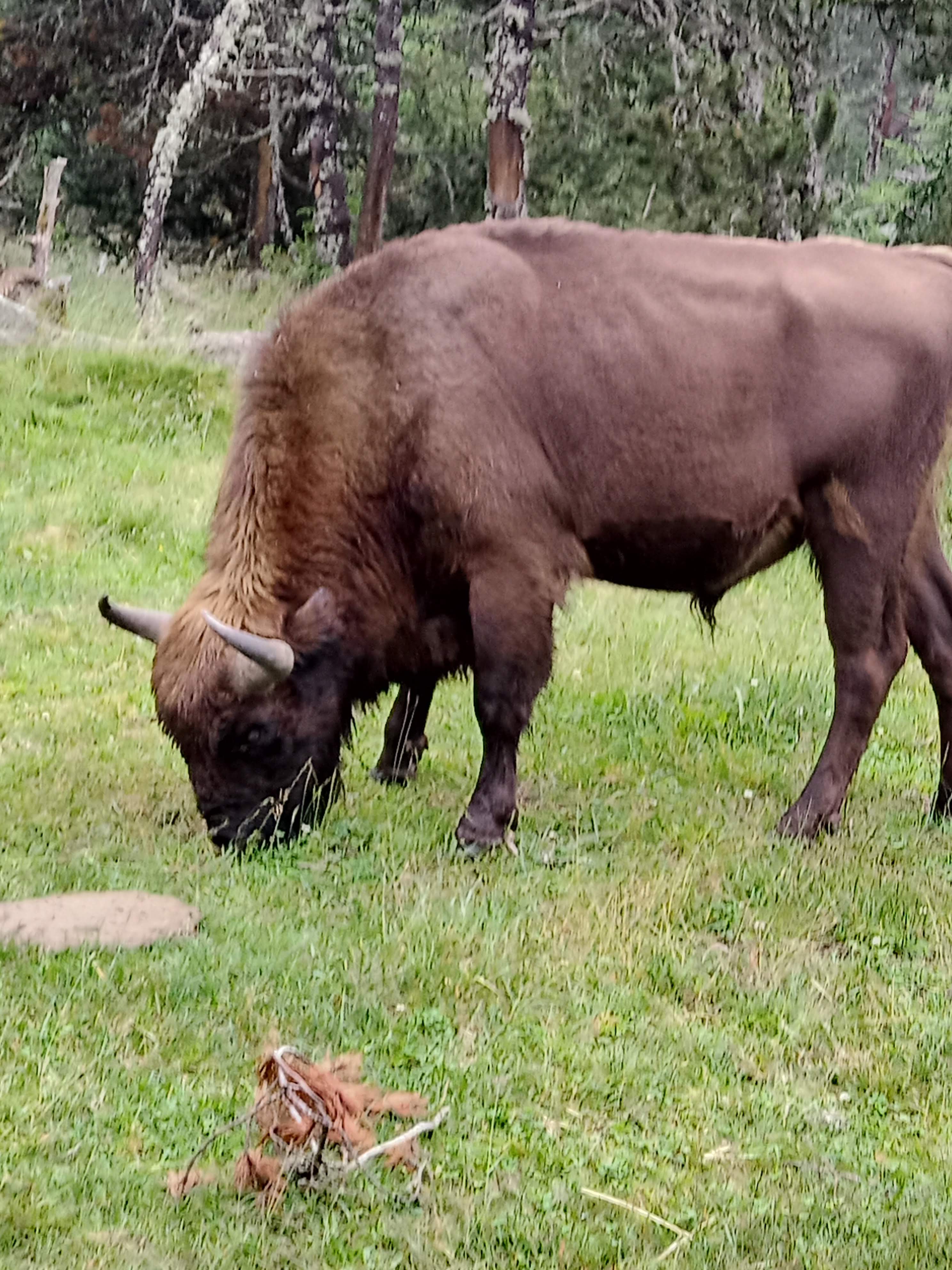 Photo n° 2 de l'avis de Marj.a fait le 18/07/2021 à 21:04