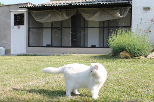 Can Planet Hotel-Residència Canina & Felina en Veïnat de Bruguera, Girona