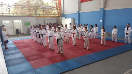 Liga de Taekwondo del Meta