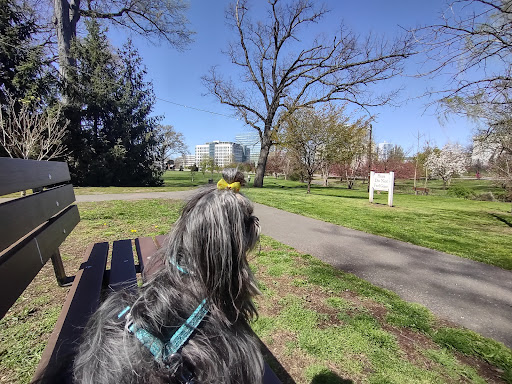 Park «Nichols Park», reviews and photos, 898 Bloomfield Ave, Nutley, NJ 07110, USA