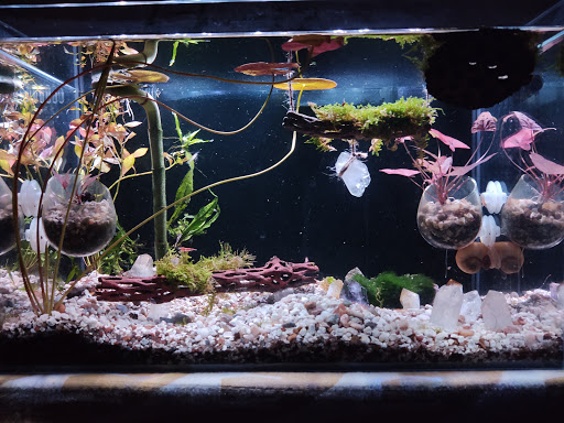 Pet Supply Store «Petco Animal Supplies», reviews and photos, 4401 Transit Rd #600, Williamsville, NY 14221, USA