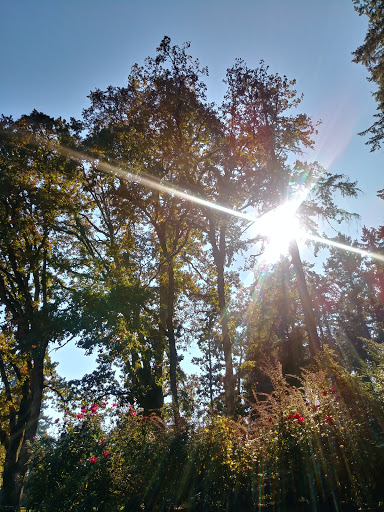 Recreation Center «Shute Park Aquatic & Recreation Center», reviews and photos, 953 SE Maple St, Hillsboro, OR 97123, USA