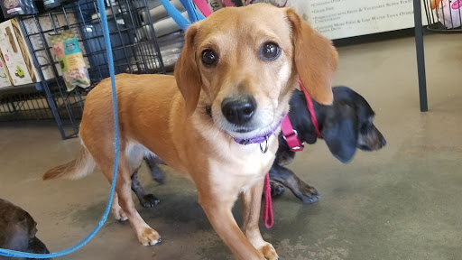 Pet Supply Store «Unleashed the Dog & Cat Store», reviews and photos, 7414 Creedmoor Rd, Raleigh, NC 27613, USA