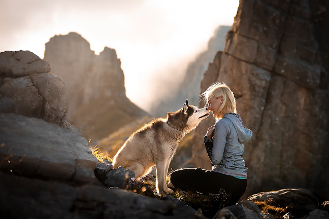 Abenteuerhunde Fotografie - Fotograf