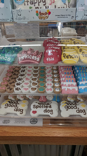 Pet Store «Chasing Our Tails, Inc. Hudson Store», reviews and photos, 76 Derry Rd #6a, Hudson, NH 03051, USA