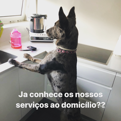 Comentários e avaliações sobre o Centro Veterinário de Adaúfe