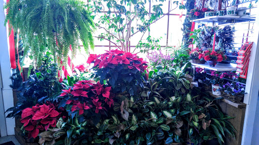 Florist «Perzynski and Filar Florist», reviews and photos, 500 S Ann St, Baltimore, MD 21231, USA