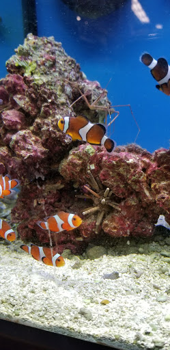 Shopping Mall «Warrenton Village Center», reviews and photos, 251 Lee Hwy, Warrenton, VA 20186, USA