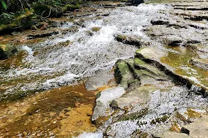 Saunders Springs Nature Preserve image