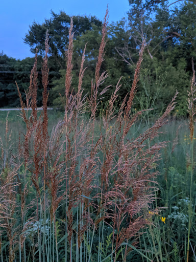 Nature Preserve «Shoe Factory Road Prairie Nature Preserve», reviews and photos, Shoe Factory Rd, Hoffman Estates, IL 60192, USA