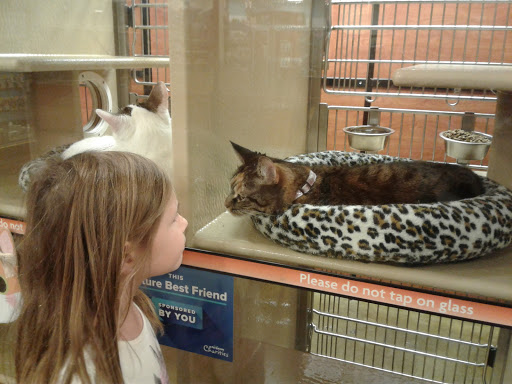 Pet Supply Store «PetSmart», reviews and photos, 2828 Campus Pkwy, Riverside, CA 92507, USA