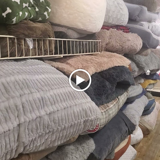 Department Store «HomeGoods», reviews and photos, 5225 Settlers Market Blvd, Williamsburg, VA 23188, USA