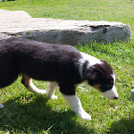 Photo n°6 de l'avis de Giovanni.a fait le 24/08/2022 à 17:50 sur le  Rifugio Premassone à Premassone