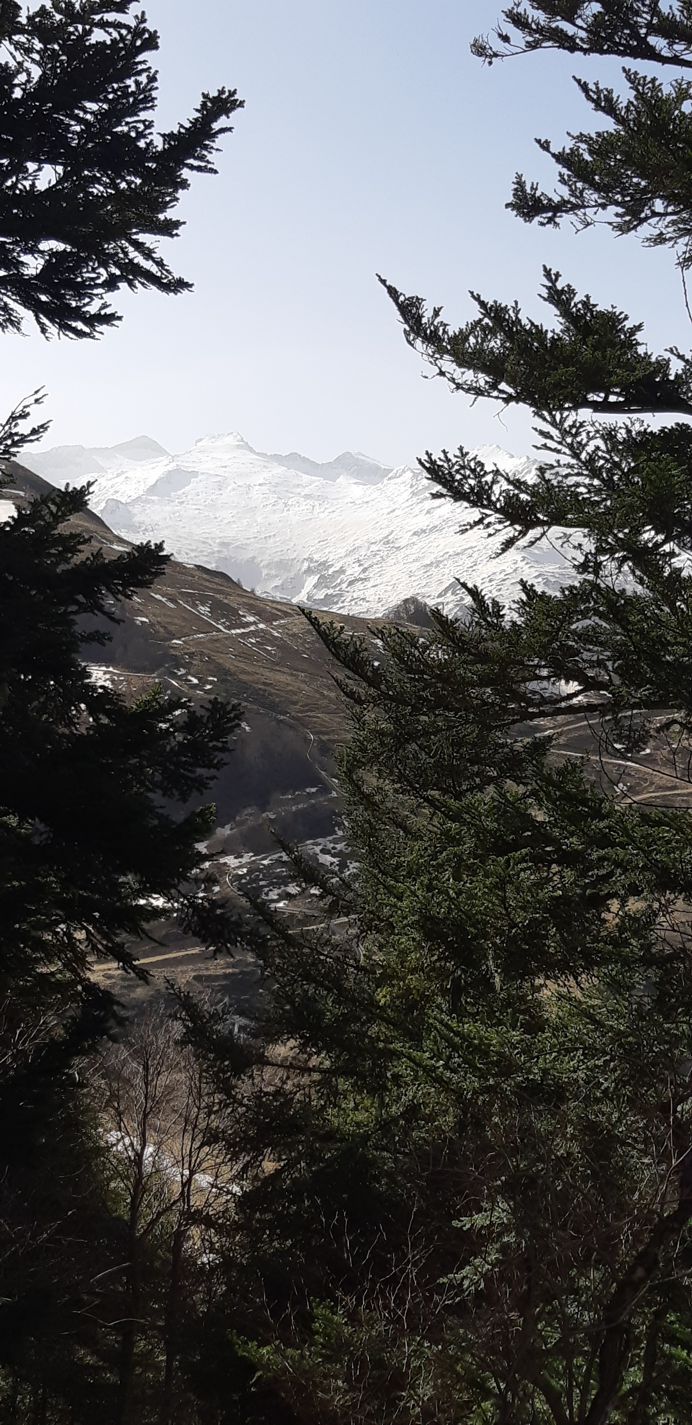 Photo n° 3 de l'avis de Annick.m fait le 25/02/2021 à 21:59