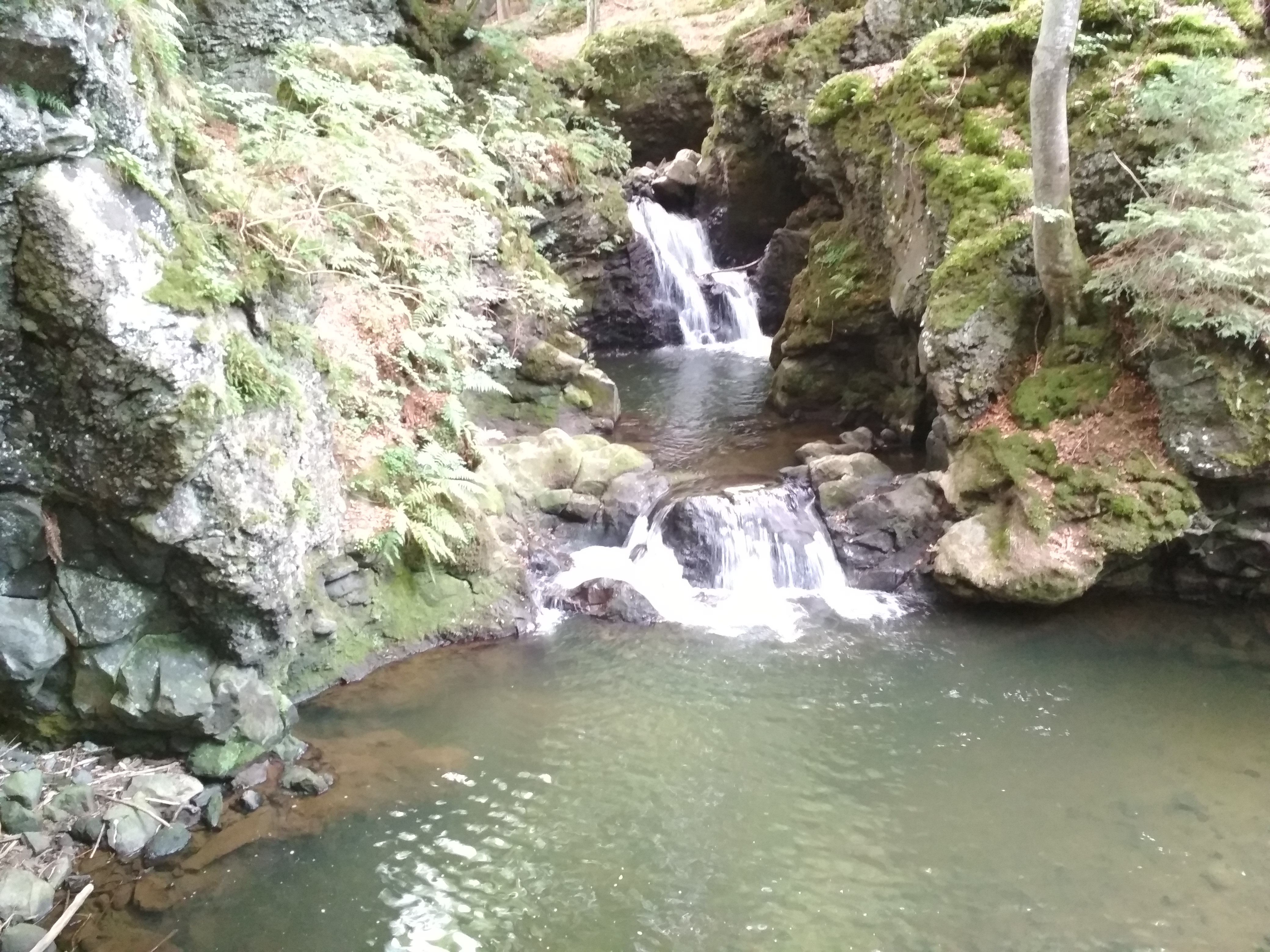 Photo n° 1 de l'avis de lisara.u fait le 20/08/2018 à 23:42