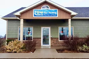 Live For Today Pools, Spas & Saunas Summerside image