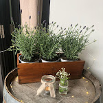 Photo n°2 de l'avis de Derya.� fait le 22/06/2020 à 21:27 sur le  Bootshaus am oberen See à Böblingen