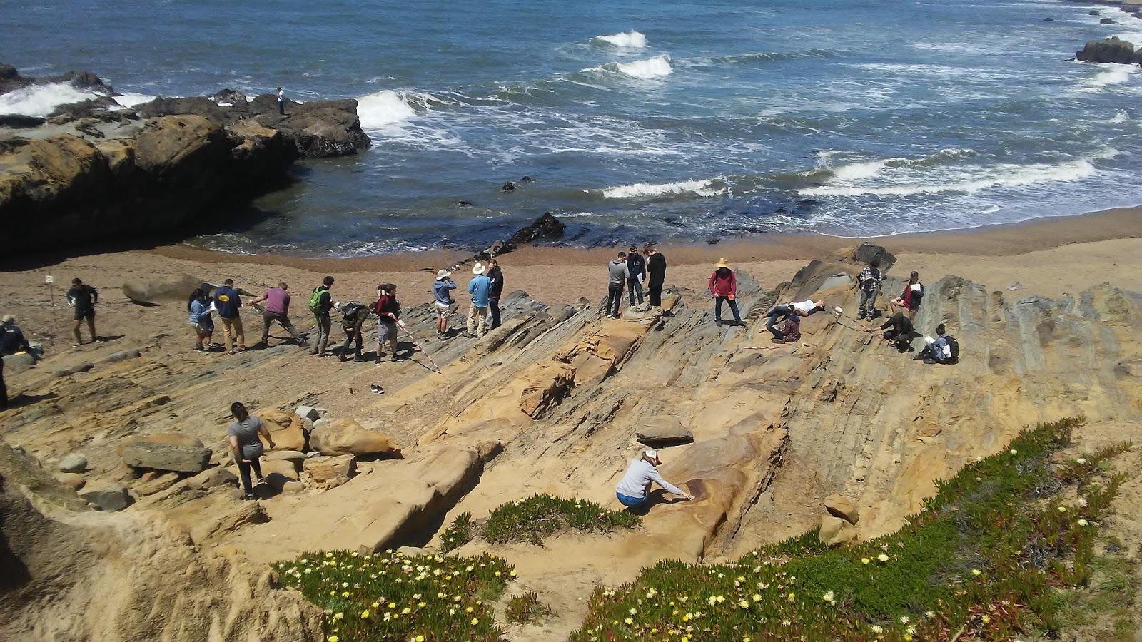 Foto van Bean Hollow Beach gelegen in een natuurlijk gebied