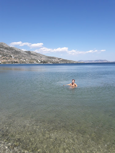 Σχόλια και κριτικές για το ΤΟ ΝΕΡΑΚΙ -ΔΑΛΛΑ