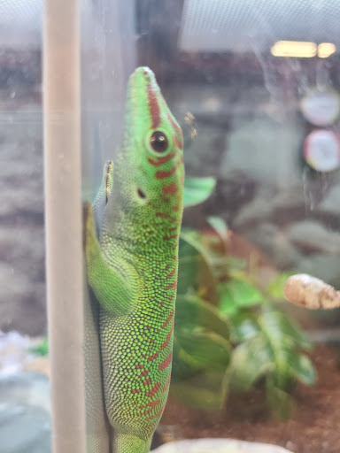 Pet Supply Store «Petco Animal Supplies», reviews and photos, 3731 Gateway Dr, Eau Claire, WI 54701, USA