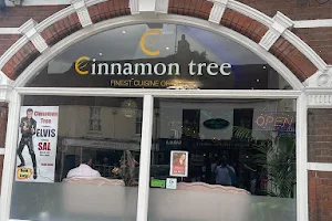 Cinnamon Tree image