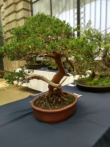 Cosmovitral Jardín Botánico